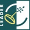 Leader logo rgb EU PIENI